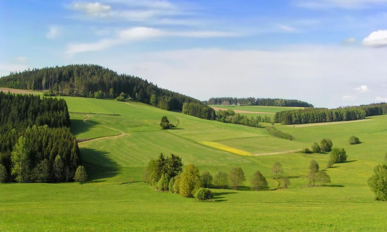 Hotel Brunnwald 巴特里奥费尔登 外观 照片