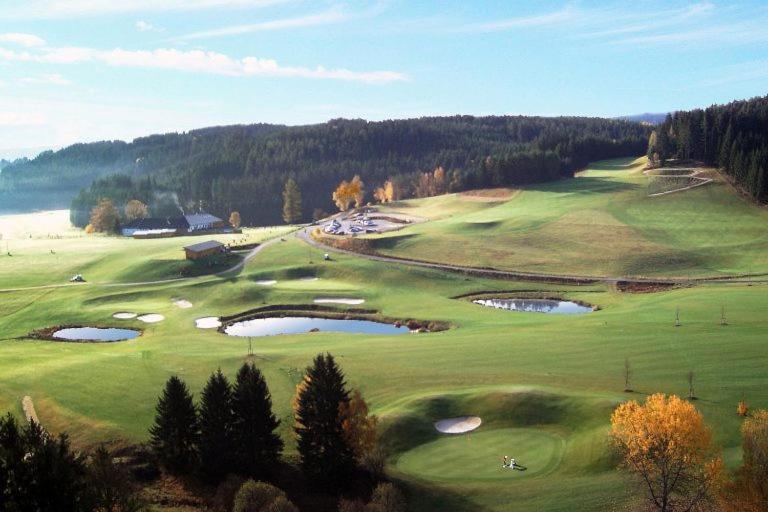 Hotel Brunnwald 巴特里奥费尔登 外观 照片